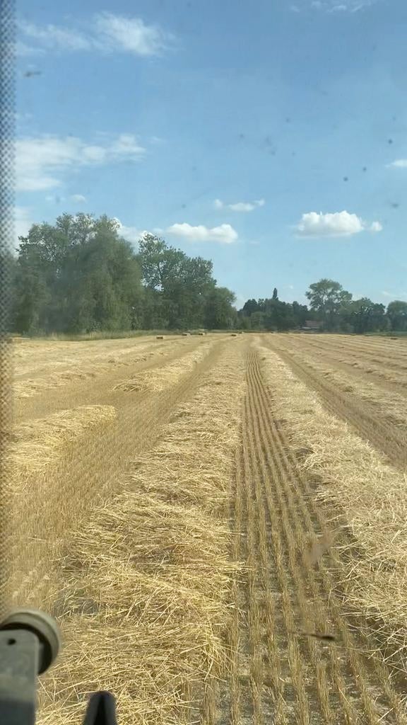 Tarwe stro 2025, Dieren en Toebehoren, Ophalen
