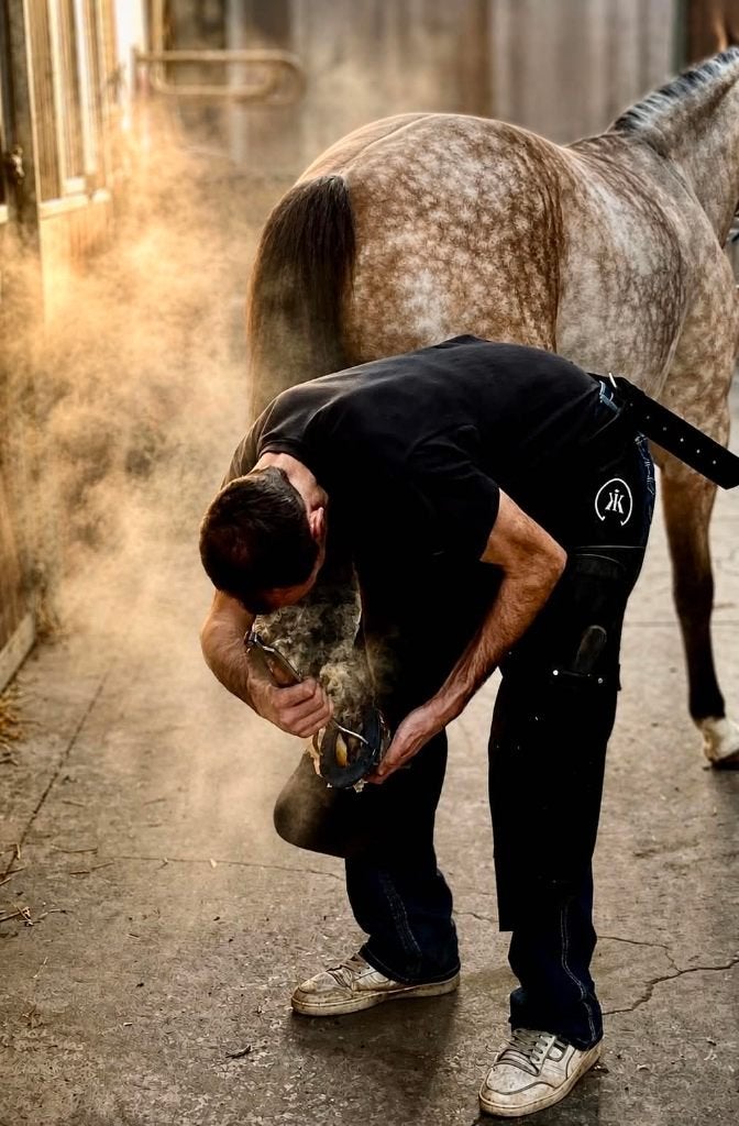 Aangeboden Hoefsmid, Dieren en Toebehoren, Overige merken, Ophalen of Verzenden, Nieuw, Hoefverzorging