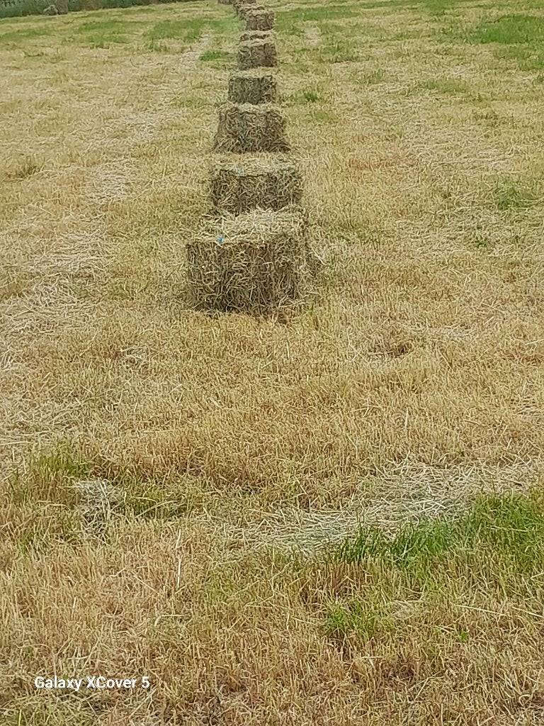 Hooi, Zakelijke goederen, Landbouw | Veevoer, Ophalen