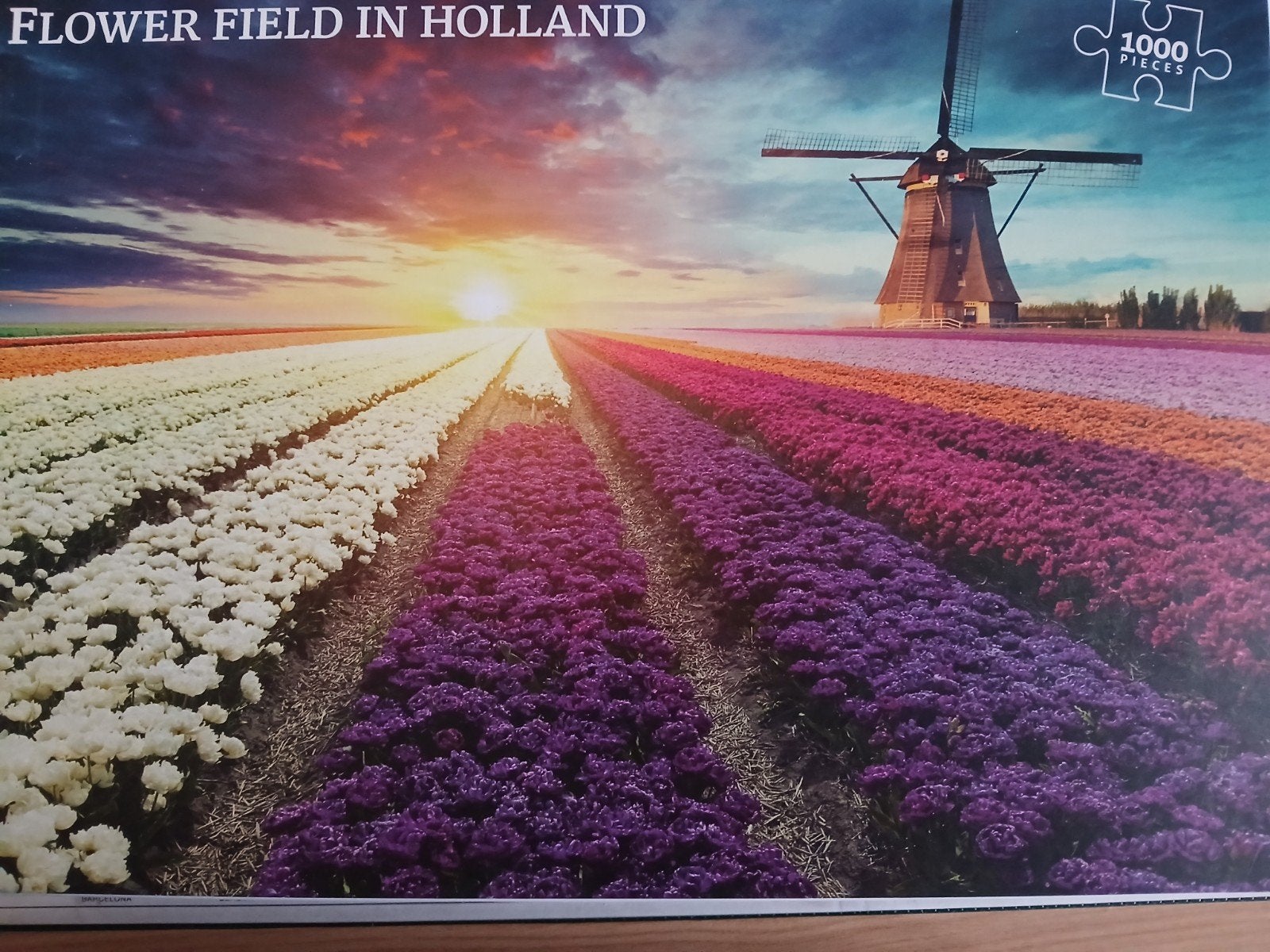 puzzel, Hobby en Vrije tijd, Ophalen, 500 t/m 1500 stukjes, Zo goed als nieuw, Legpuzzel