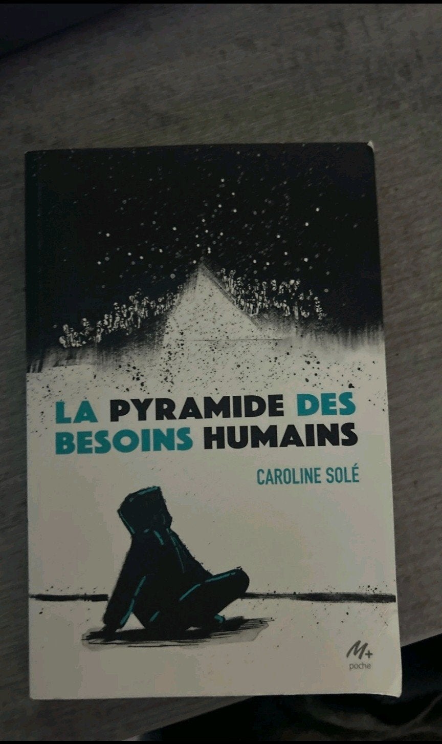 la pyramide des besoins humains, Livres, Enlèvement ou Envoi
