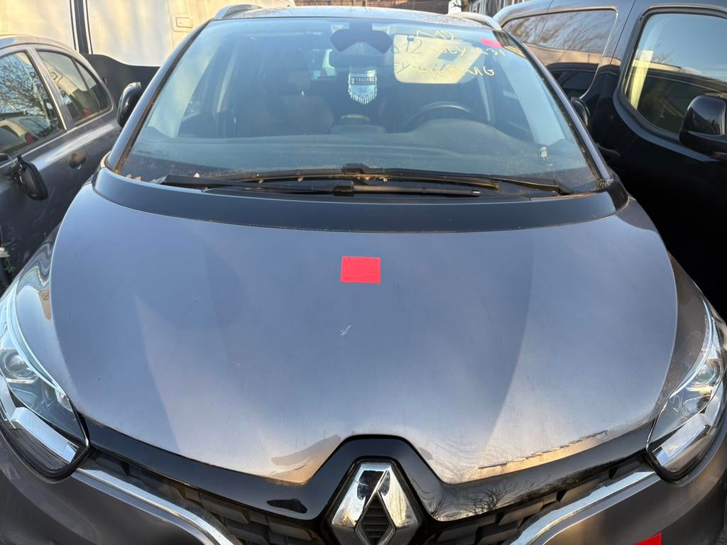 MOTORKAP RENAULT SCENIC 2020, Ophalen, Voor, Renault, Motorkap
