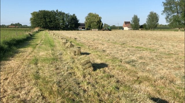 hooi en stro kleine balen, Enlèvement