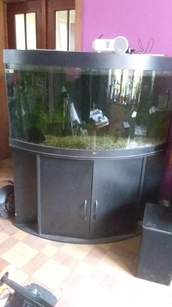 Juwel 350L hoekaquarium, Dieren en Toebehoren, Ophalen, Verwarming, Gebruikt, Juwel