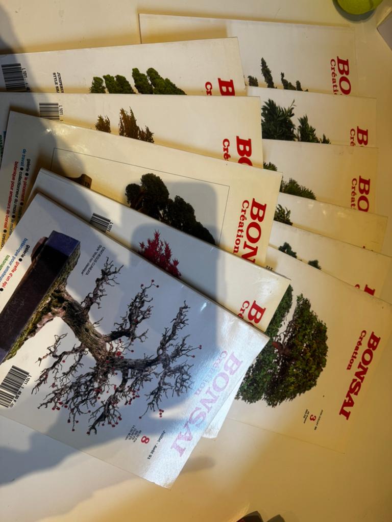 Livres bonsaïs, Livres, Enlèvement, Comme neuf, Fleurs, Plantes et Arbres