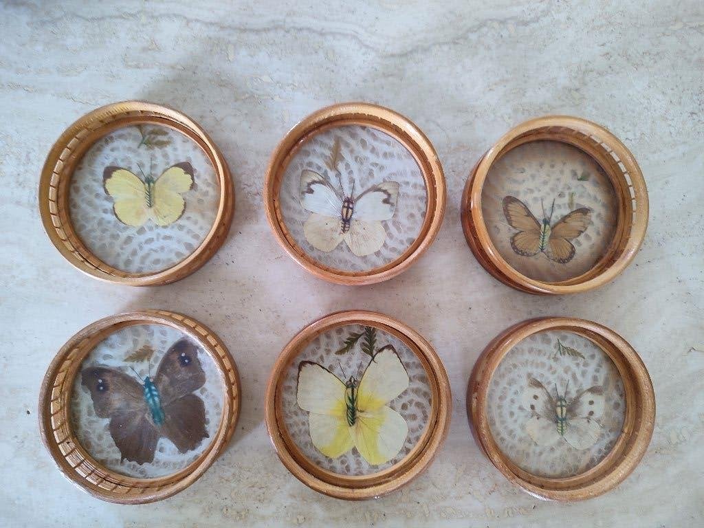 Beau lot de dessous-de-verre avec ailes de papillons '60-70, Antiquités & Art, Matériau naturel, Encadré, Autres types, Enlèvement ou Envoi