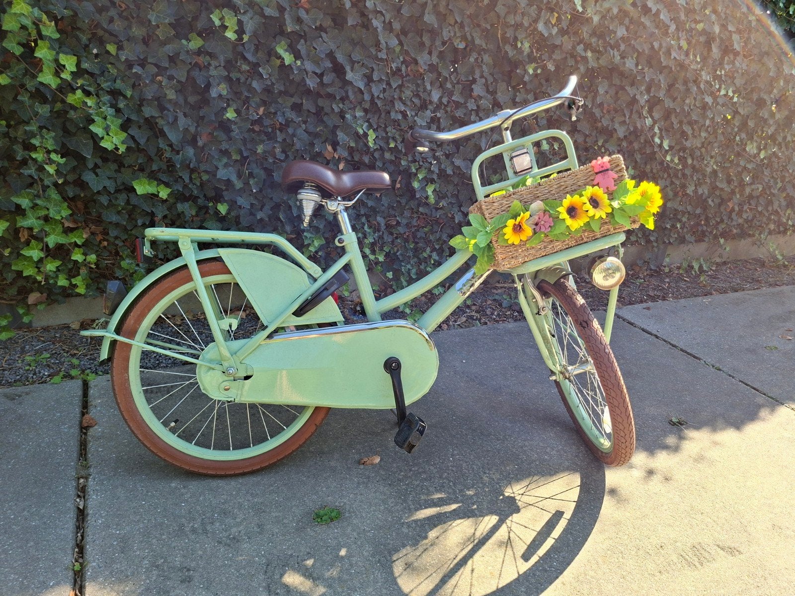 fiets popal met fietsmandje, Fietsen en Brommers, Ophalen, Terugtraprem, Handrem, Popal