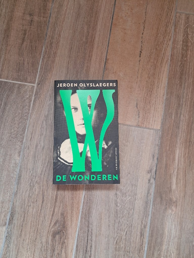BOEK JEROEN OLYSLAEGERS, Boeken, Ophalen of Verzenden, Zo goed als nieuw, Jeroen Olyslaegers