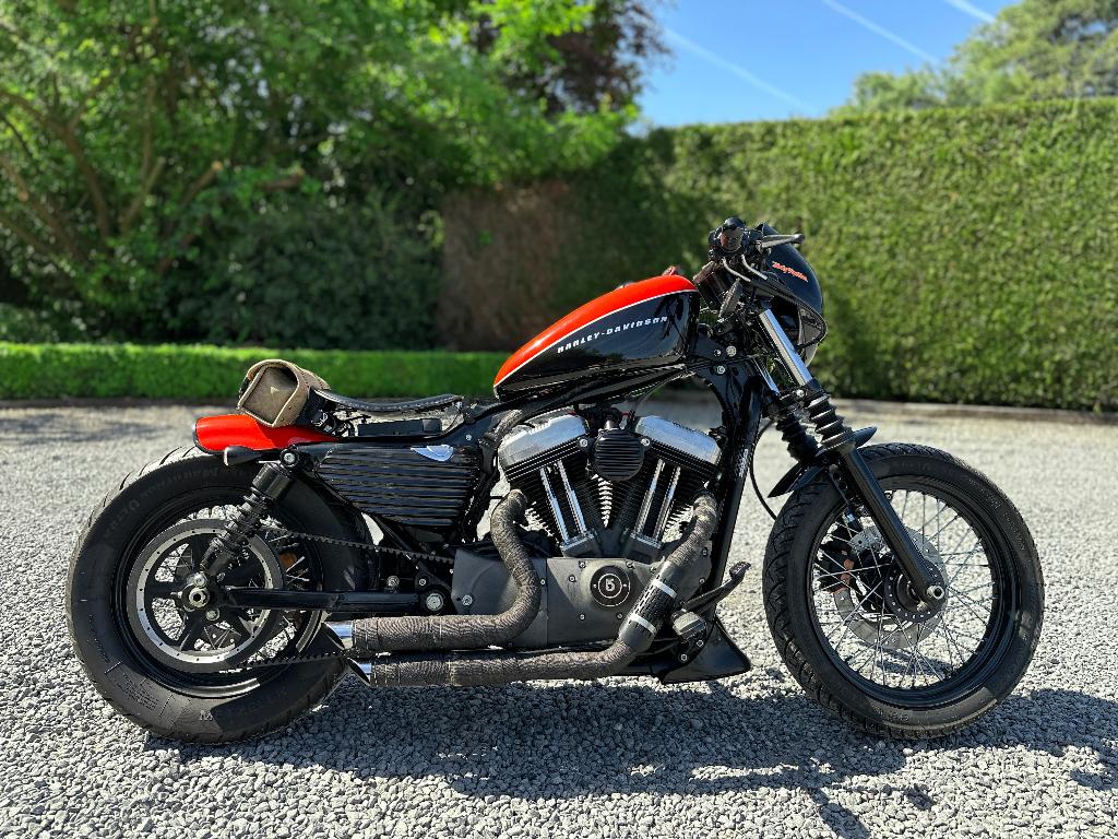 Harley Davidson XL1200N Nighster, Motos, 1202 cm³, Permis Moto A, Entreprise, Occasion