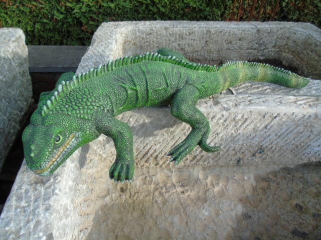 un grand lézard ou iguane , très belle imitation, Enlèvement, Comme neuf, Synthétique, Animal