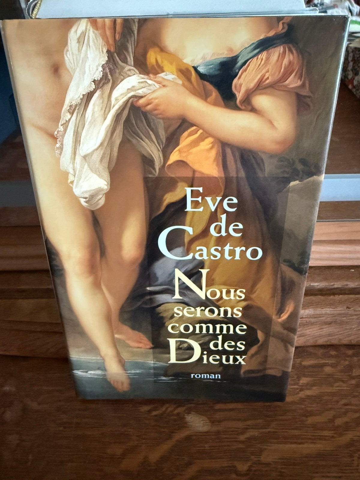 Nous Serons Comme Des Dieux, Boeken, Ophalen of Verzenden, Zo goed als nieuw, Europa overig