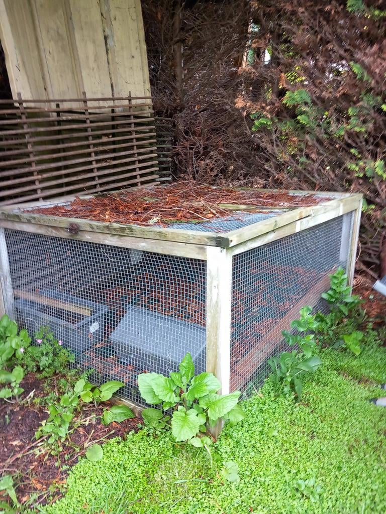 kooien, Dieren en Toebehoren, Ophalen