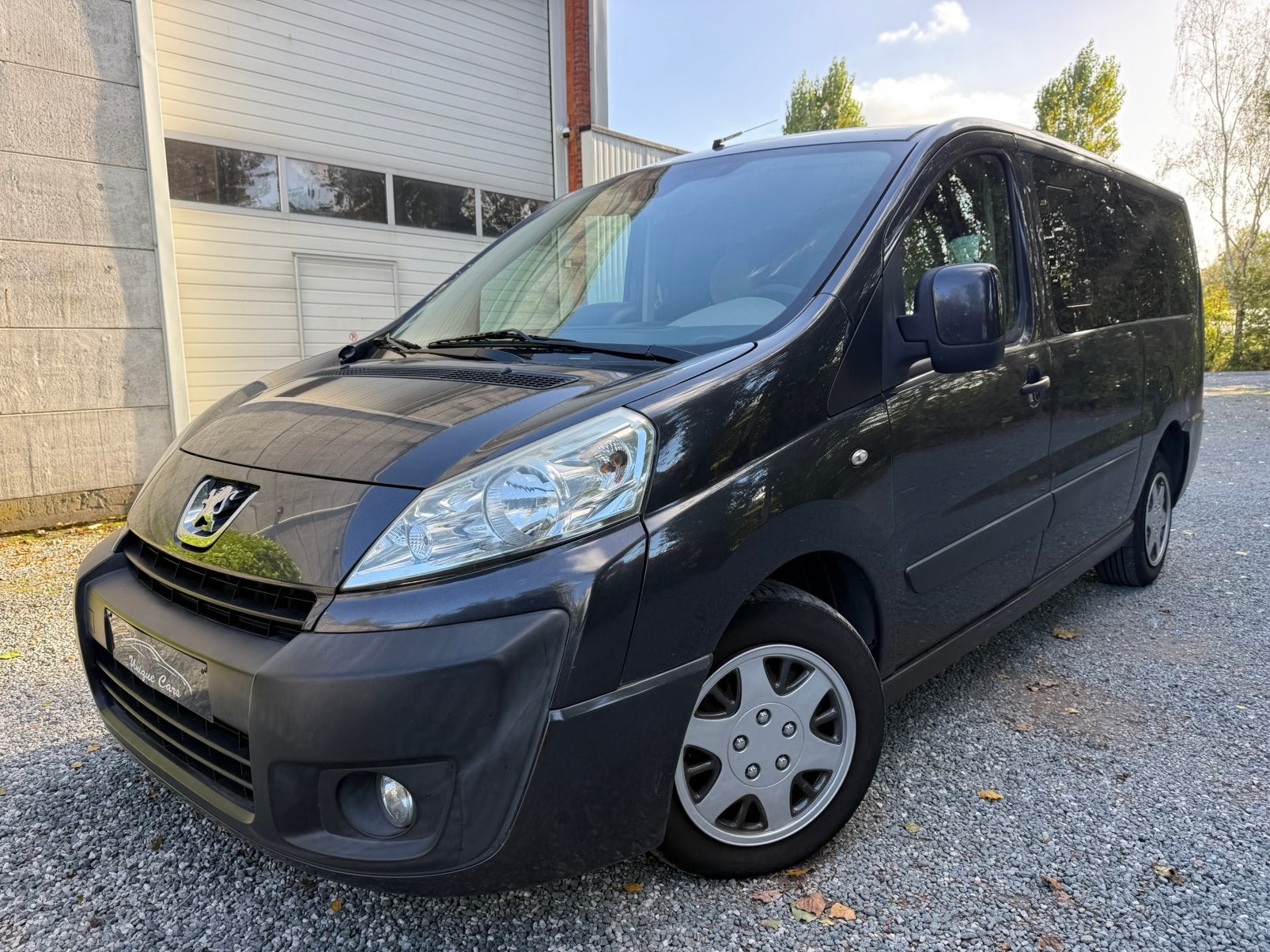Peugeot Expert Tepee 2.0 HDi Dubbel Cabine 2012 / AC / Euro5, Auto's, Euro 5, Airbags, Bedrijf, 5 zetels