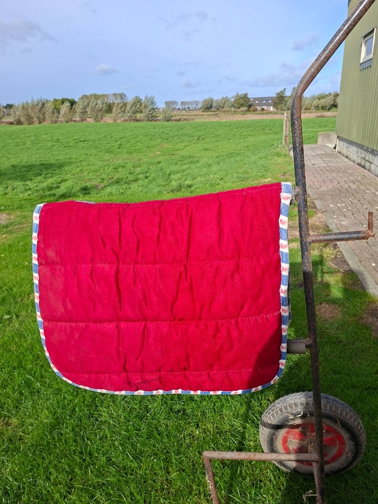 Dressuurdekjes, Animaux & Accessoires, Full (L), Tapis de dressage, Enlèvement, Utilisé