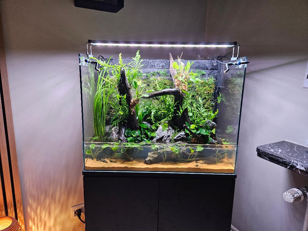 Paludarium UNS foresta 60x36 cm H:45 cm, Enlèvement, Comme neuf, Aquarium vide