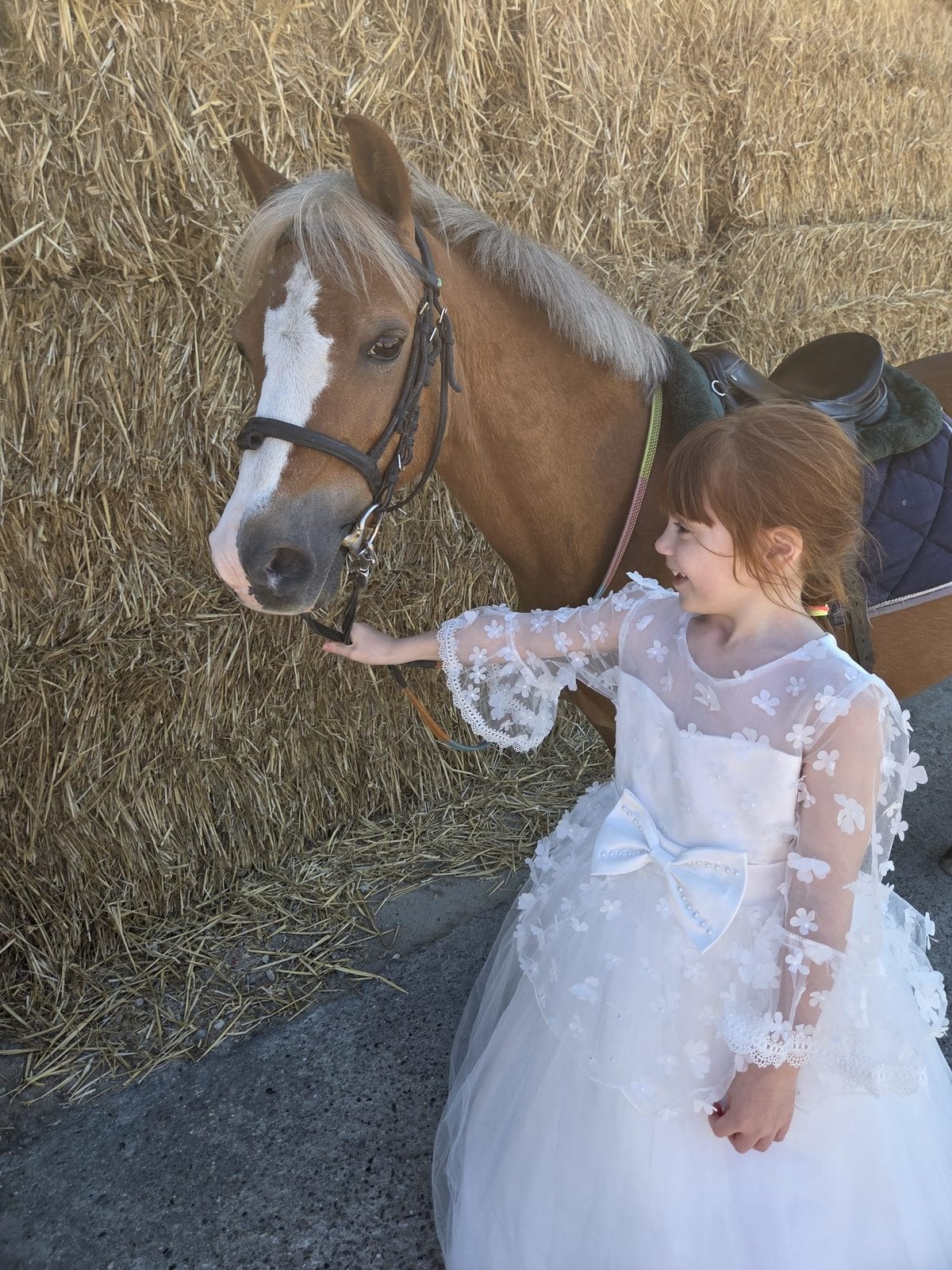 Paardrijlesgeefster, Animaux & Accessoires, Poney B (1.17 m à 1.27 m), Débourré, Poney de récréation, Plusieurs animaux