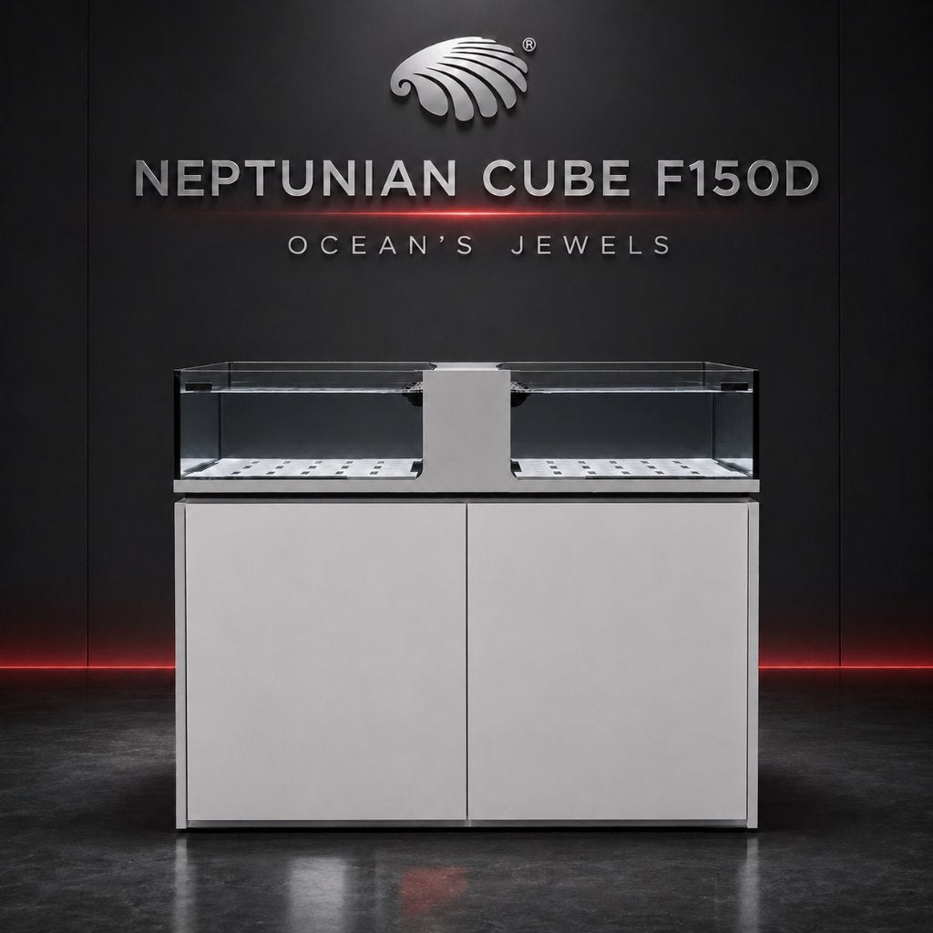 NEPTUNIAN CUBE FRAG TANKS PREMIUM CORAL PROPAGATION, Envoi, Neuf, Aquarium vide