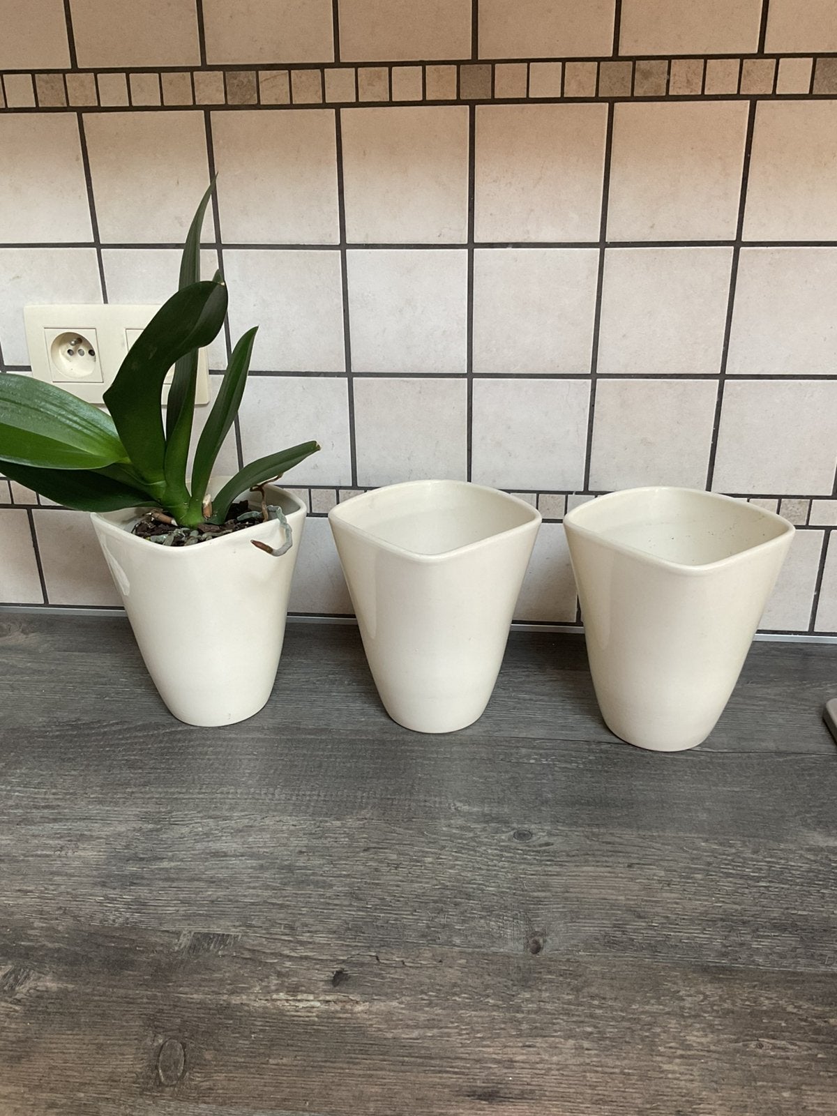 3 orchidee bloempotten met hogere rand, Tuin en Terras, Ophalen of Verzenden, Zo goed als nieuw