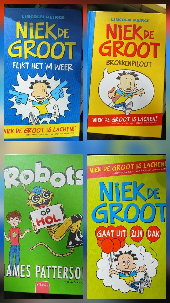 Niek de Groot, Ophalen of Verzenden, Zo goed als nieuw, Fictie algemeen