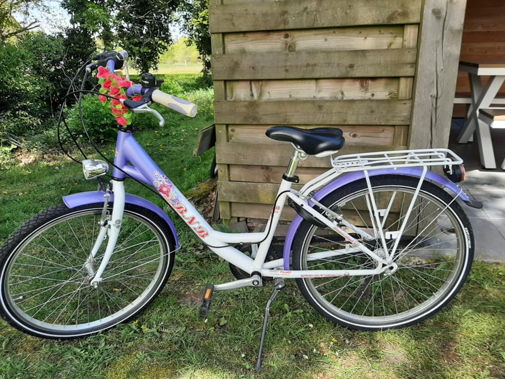 Meisjesfiets, Enlèvement