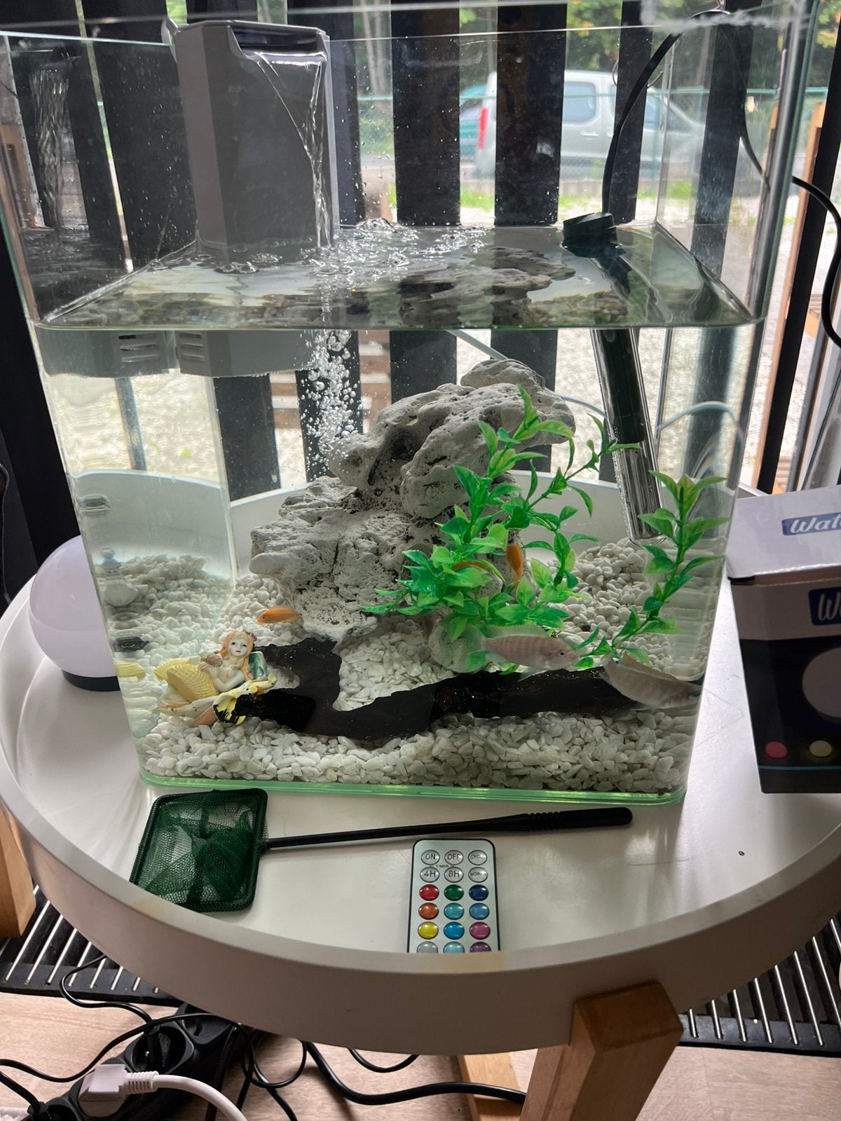 Aquarium met vissen, Ophalen, Zo goed als nieuw