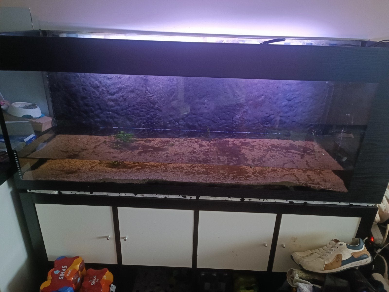 Aquarium 1m50, Enlèvement, Filter