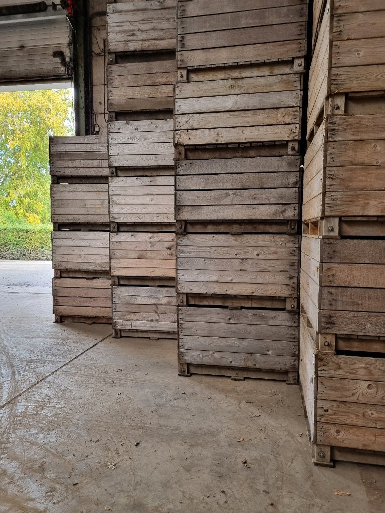 houten paloxen, Ophalen