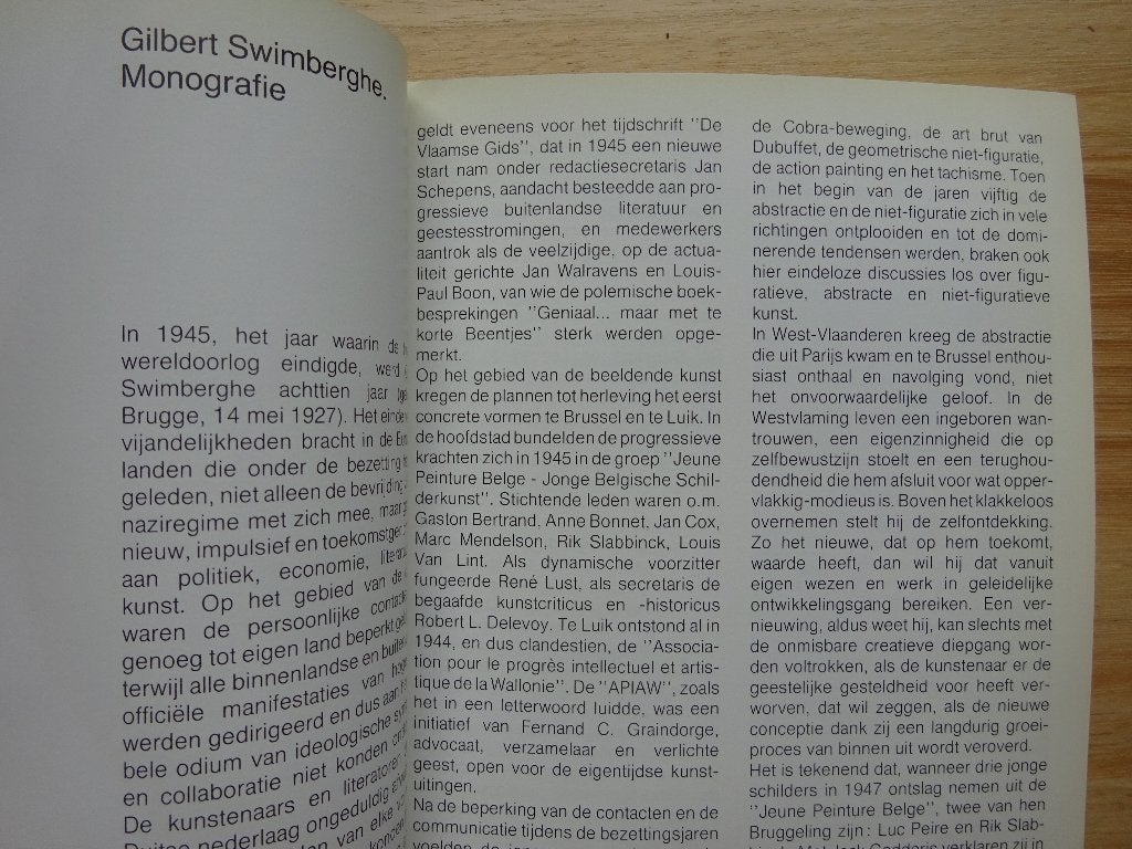 Gilbert Swimberghe, monografie 1989, Beeld/Spraak, Gelezen, Jaak Fontier, Ophalen of Verzenden, Schilder- en Tekenkunst