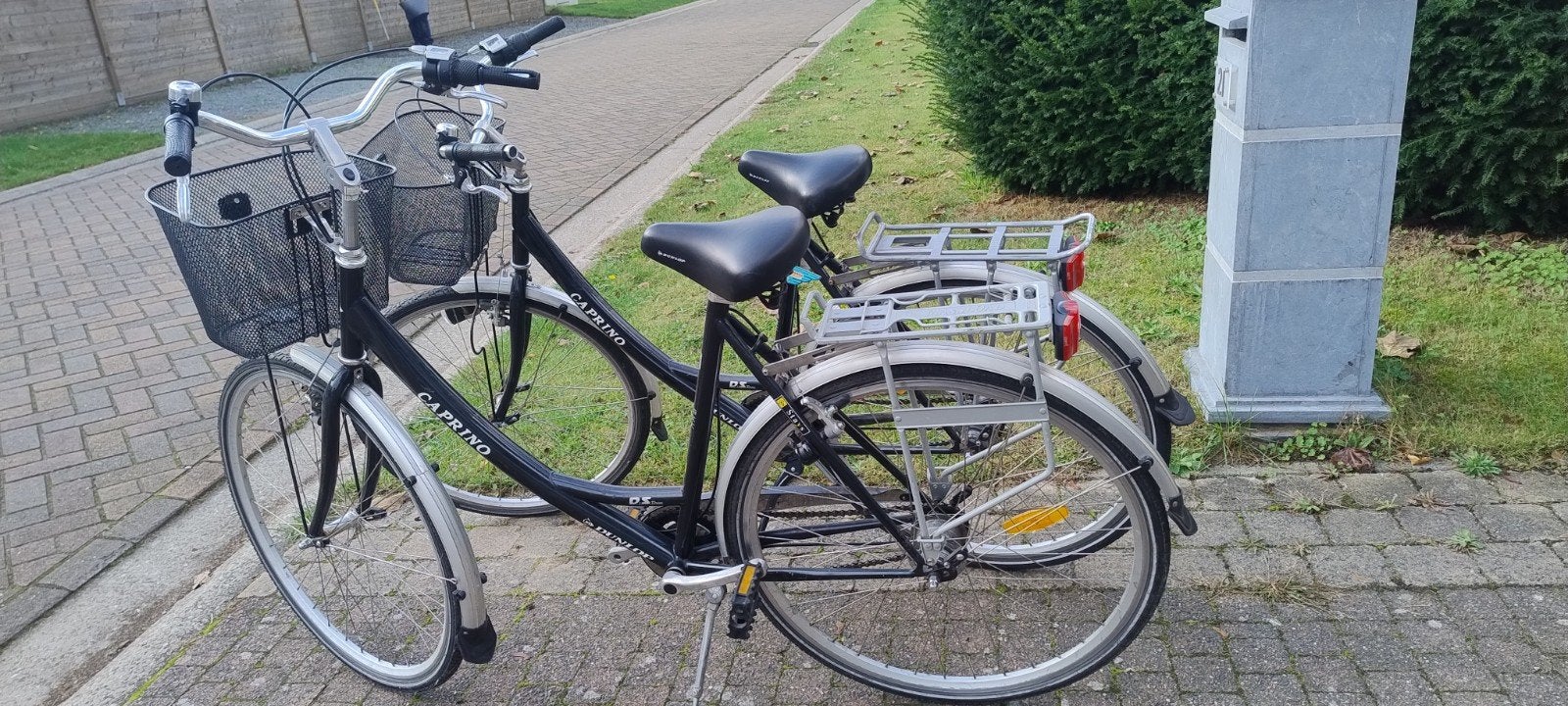 Damesfiets, Autres marques, Vitesses, Frein sur jante, Enlèvement