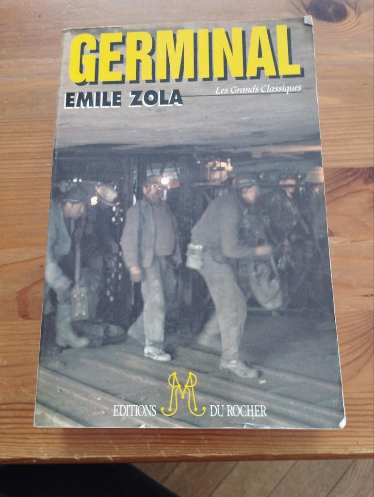 Emile Zola Germinal, Livres