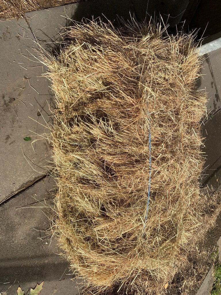 Hooi kleine botten, Dieren en Toebehoren, Ophalen
