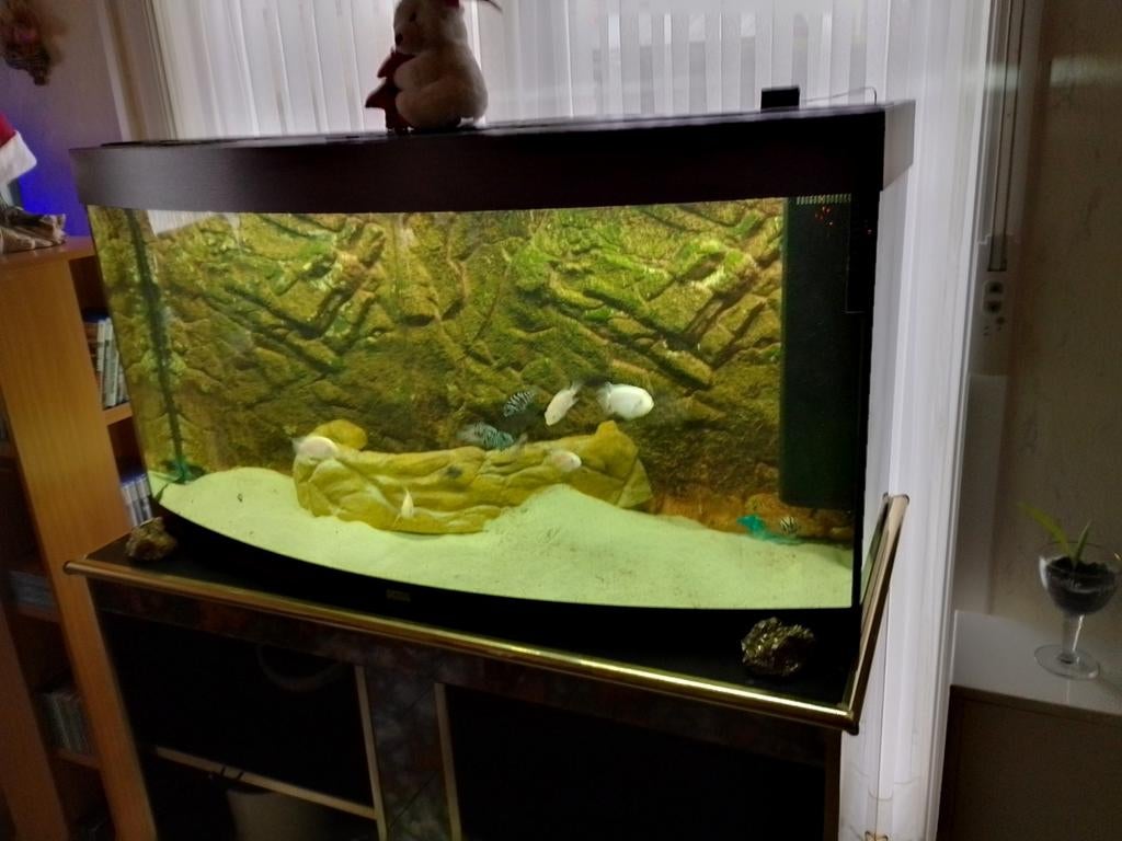 Aquarium, Ophalen, Zo goed als nieuw
