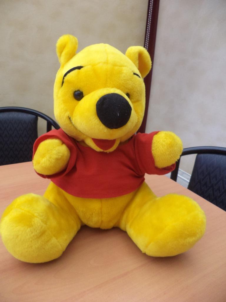 grote Winnie the Pooh knuffel en hanger, Ophalen of Verzenden, Zo goed als nieuw, Beer