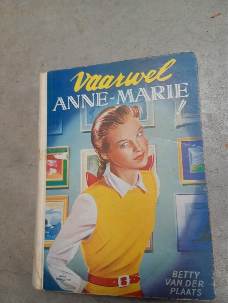 Boek Vaarwel Anne-Marie, Betty Vanderplaats, Ophalen of Verzenden