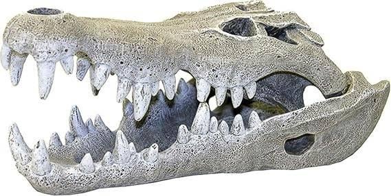 Aquariumdecoratie | krokodil schedel | GRATIS LEVERING, Dieren en Toebehoren, Vissen | Aquaria en Toebehoren, Nieuw, Overige typen