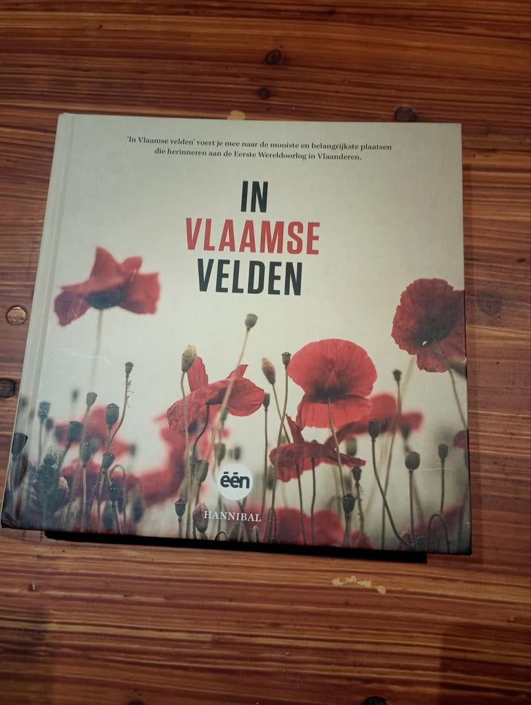 Sophie Allegaert - In Vlaamse velden, Enlèvement, Sophie Allegaert