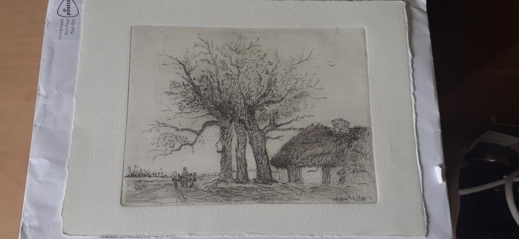 tekening copie ets de 3 linden, Antiek en Kunst, Ophalen of Verzenden
