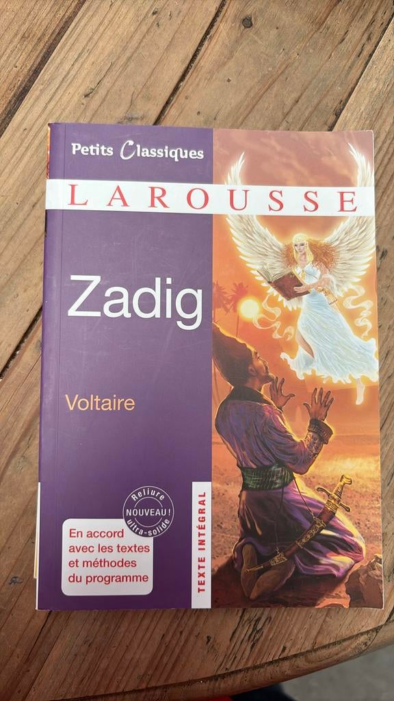 Larousse Zadig voltaire, Enlèvement, Comme neuf