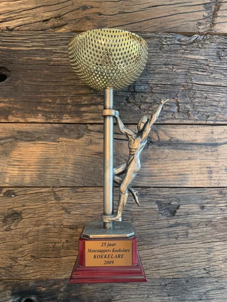 Mooie beker - trofee - sporttrofee trophy zwaar stuk (30 cm), Ophalen of Verzenden, Zo goed als nieuw