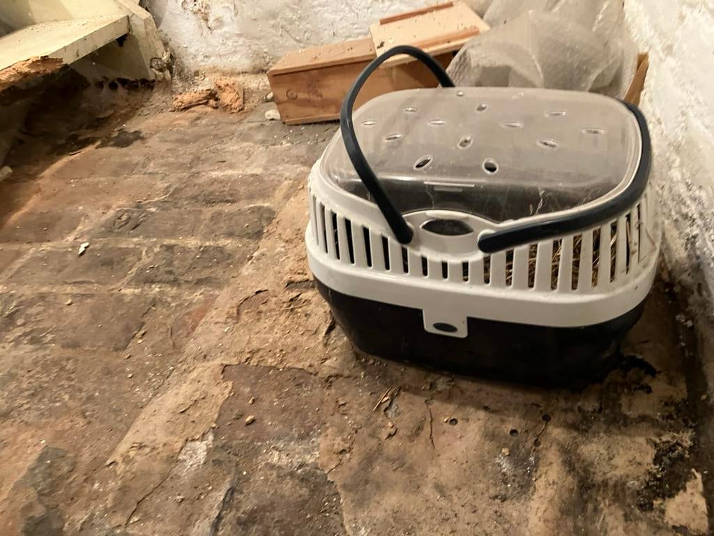 Cage de transport pour rongeur cobaye, Enlèvement ou Envoi, Comme neuf