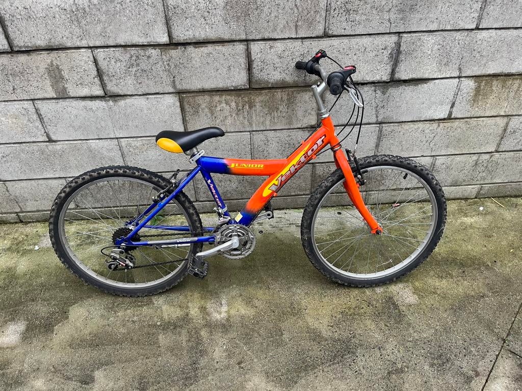 Vélo, Vélos & Vélomoteurs, Enlèvement, Comme neuf