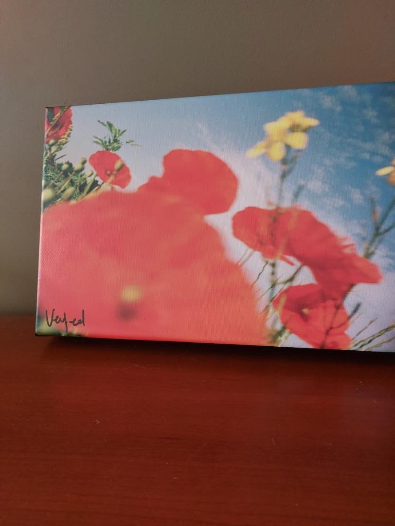 coquelicot 2006, Envoi