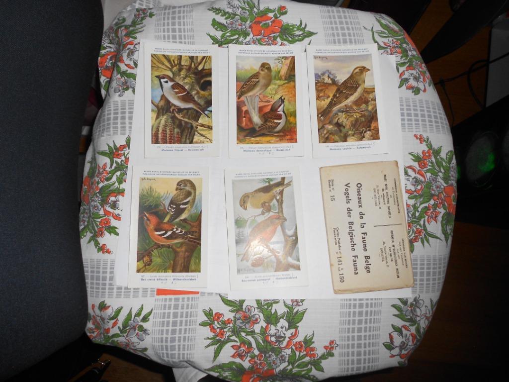 Postkaarten.carte Postale .Reeks 15.Vogels.Oiseaux, Verzamelen, Postkaarten | België, Ophalen of Verzenden, 1960 tot 1980, Ongelopen