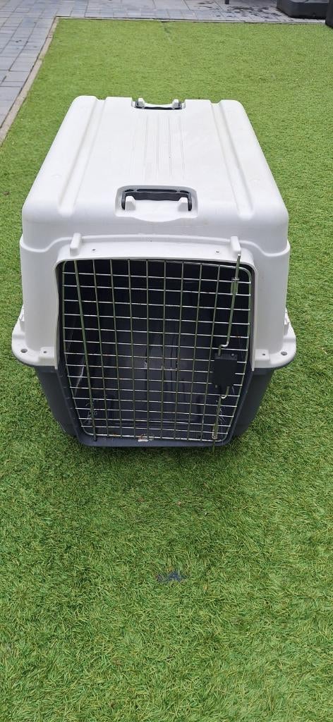 Transportbox hond Large, Dieren en Toebehoren, Ophalen, Gebruikt