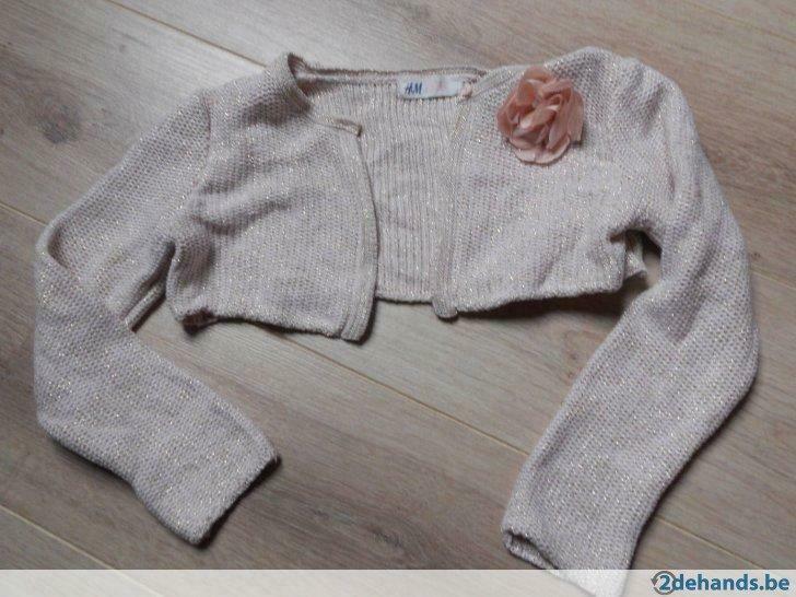 trui meisje maat 122, Kinderen en Baby's, Gebruikt, Meisje, Trui of Vest