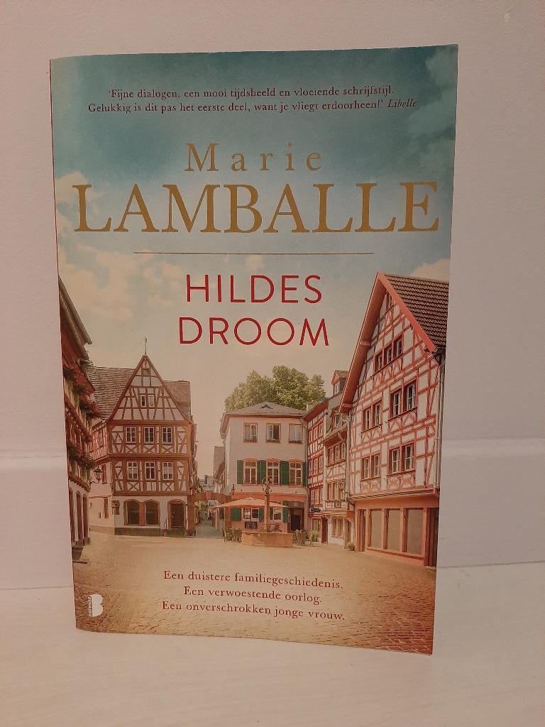 Roman - Hildes Droom, Boeken, Ophalen, Zo goed als nieuw, Marie Lamballe
