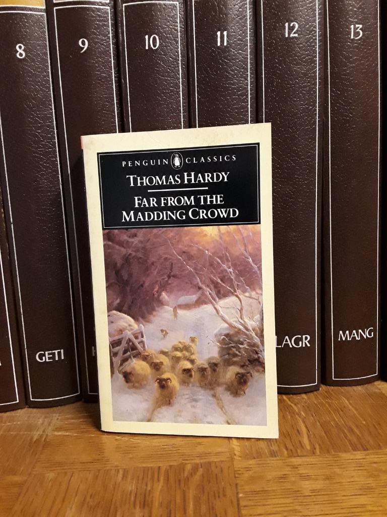 Pakket Thomas Hardy, Boeken, Literatuur, Zo goed als nieuw, België, Ophalen of Verzenden