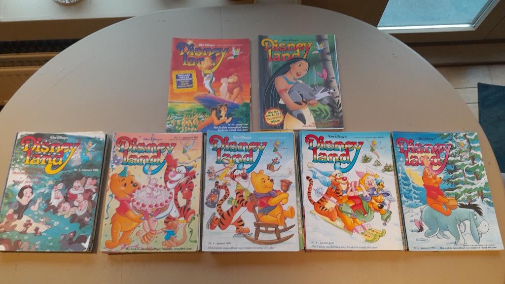 Walt Disney Disneyland, Boeken, Ophalen of Verzenden