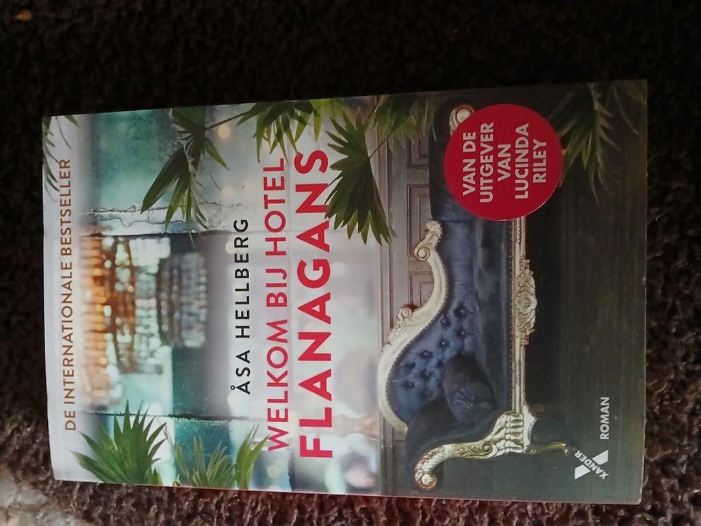 Åsa Hellberg - Welkom bij Hotel Flanagans, Boeken, Literatuur, Zo goed als nieuw, Ophalen