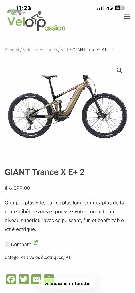 VTT électrique 29 taille M, Vélos & Vélomoteurs, Enlèvement, Autres dimensions, Plus de 20 vitesses, Suspension